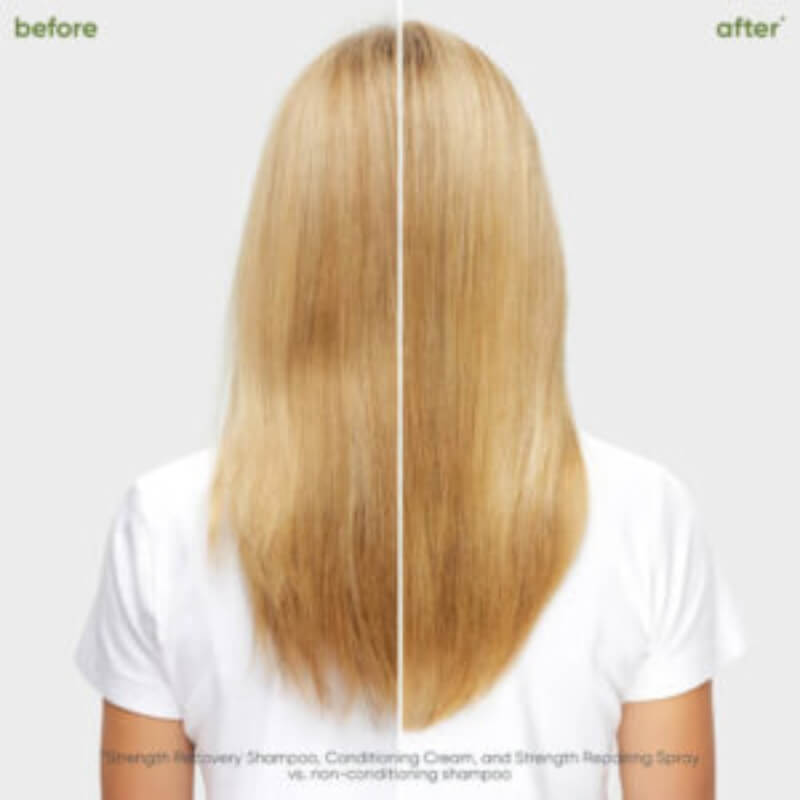Strength Recovery for damaged hair by Biolage